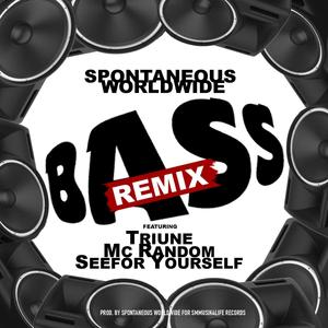 BASS (feat. Triune, Mc Random & Seefor Yourself) [Remix] [Explicit]
