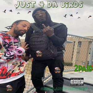 JUST 4 DA BIRDS (feat. 2PAID) [Explicit]