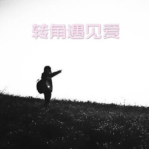 雨蝶 (DJ版)