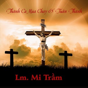 Người Sai Tôi Đi