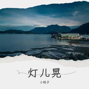 灯儿晃伴奏 (伴奏)