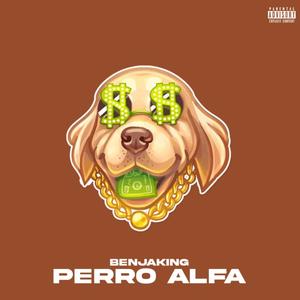 BENJAKING - PERRO ALFA