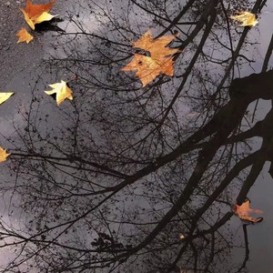 你就不要想起我（明明你也还爱我）