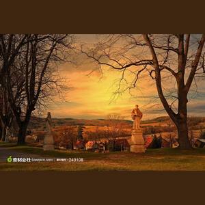 Dear Vienna(Rework)