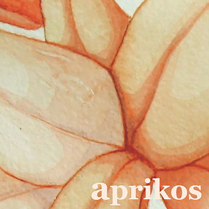 Aprikos