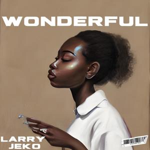 Wonderful (Explicit)