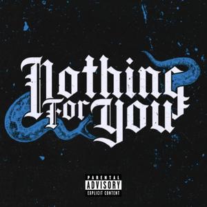 Nothing 4 U (Explicit)