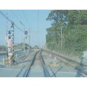 花ゆり痴人 (feat. 裏命)