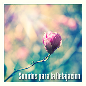 Meditar, Yoga y Reiki