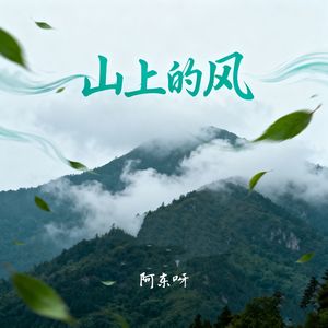 山上的风