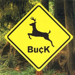 Buck(Sympathy For The Record Industry)