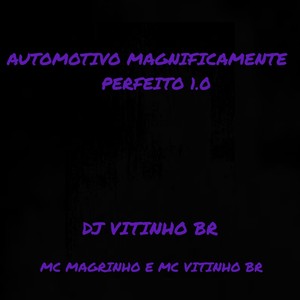 Automotivo Magnificamente Perfeito (Explicit)