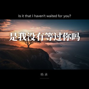 是我没有等过你吗封面