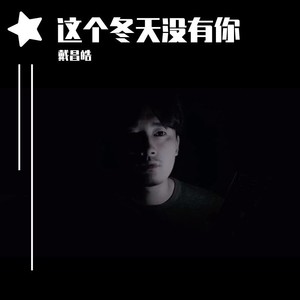 这个冬天没有你