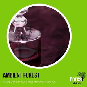 Ambient Forest - Nature Chirps, Thunder, Winds and Waterflows, Vol. 4