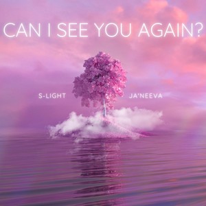 Can I See You Again? (feat. Ja'Neeva)