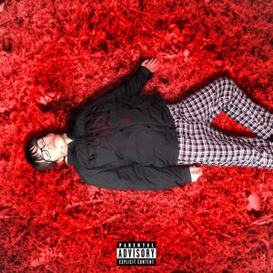 BLOOD FIELDS (Explicit)