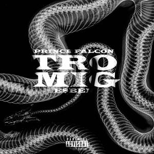 TRO MIG (Explicit)