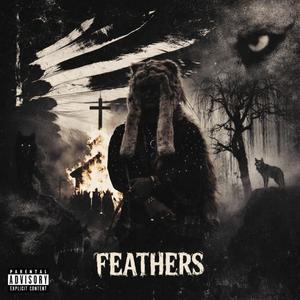 Feathers (feat. Streetz & EMoney_3600) (Explicit)