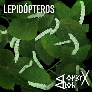 Lepidopteros