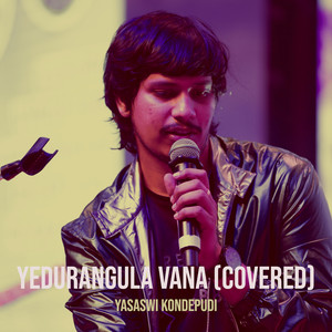 Yedurangula Vana (Covered)