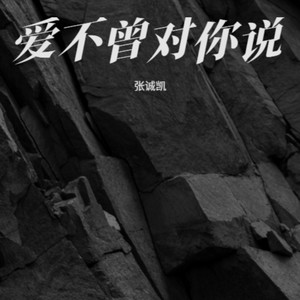 爱不曾对你说 (烟嗓版)封面