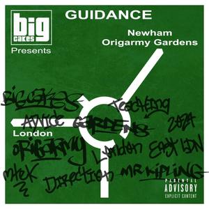 Guidance (Explicit)