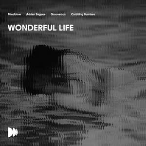 Wonderful Life