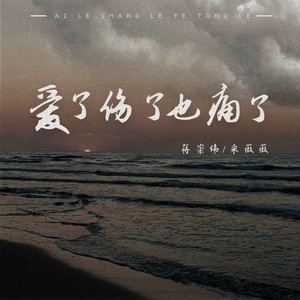 蒋崇伟 - 爱了伤了也痛了