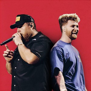 Ordinary (feat. Luke Combs) (- Live from Lollapalooza)