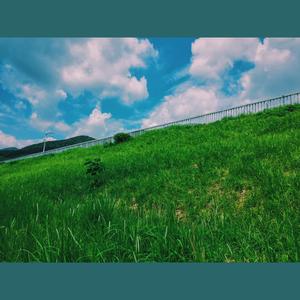 胭脂酒馆 (Demo)