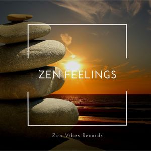 Asian Zen Spa Music Meditation - Rain Down