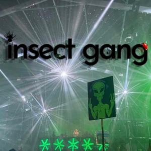 deadsoul (insect cup|Explicit)