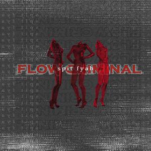 Flow Criminal (feat. Ewers)