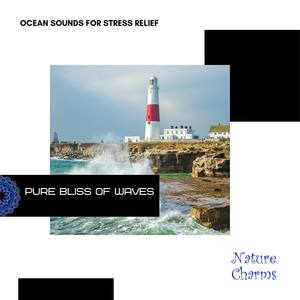 Pure Bliss of Waves - Ocean Sounds for Stress Relief