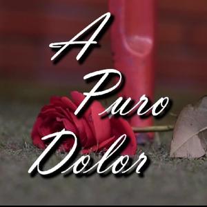 A Puro Dolor - acústico