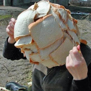 Rainbow6 (feat. Luh Murda, Sixowebaby & Bslime) (Explicit)