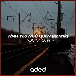 Tình Yêu Ngủ Quên (Remix)