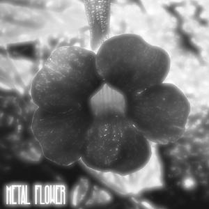 Metal Flower (Explicit)