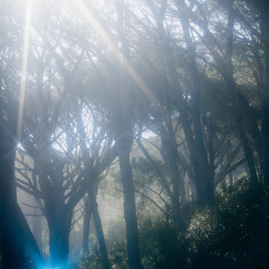 Healing from the Loss of a Life Partner (A Meditation on Grief)