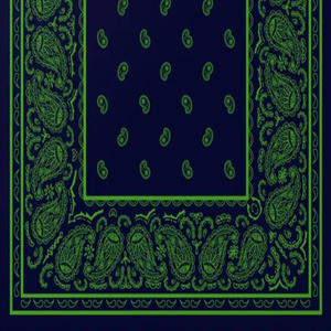 We Don't Fuk Wit Chu (Explicit)