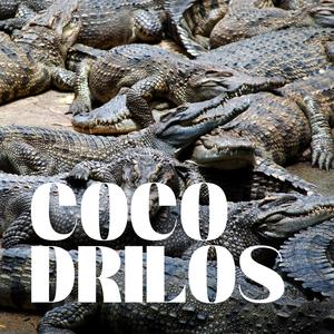 Cocodrilos (feat. SALEK) (Explicit)