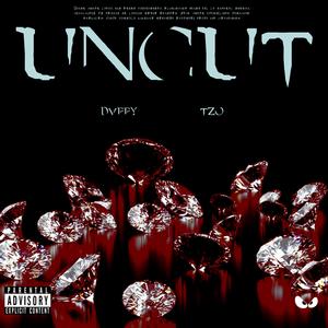 Uncut (feat. Tzo) (Explicit)