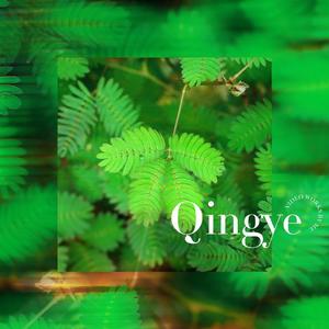 Qingye