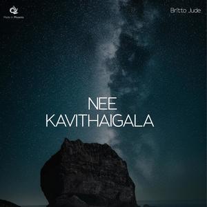 Nee Kavithaigala (Piano Version)