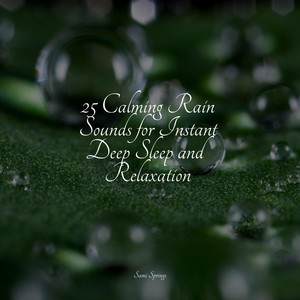 25 Calming Rain Sounds for Instant Deep Sleep and Relaxation