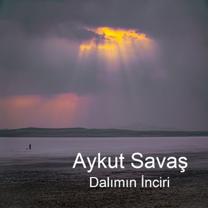 Dalımın Inciri