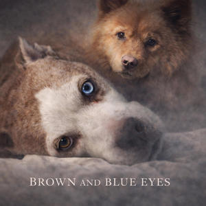 Brown & Blue Eyes