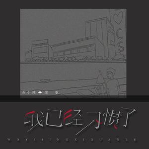 我已经习惯了