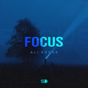 Focus